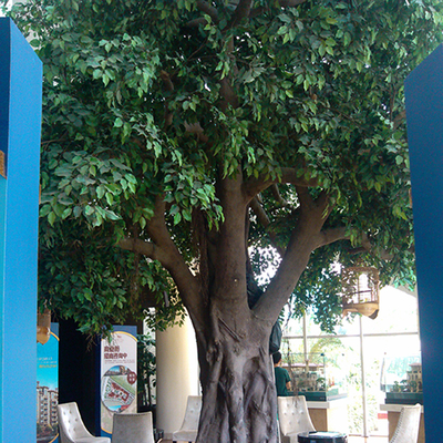 長(zhǎng)隆造景仿真室內(nèi)榕樹