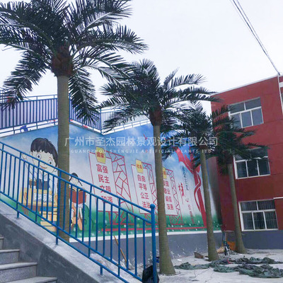 寧夏希望小學(xué)仿真椰子樹(shù)造景