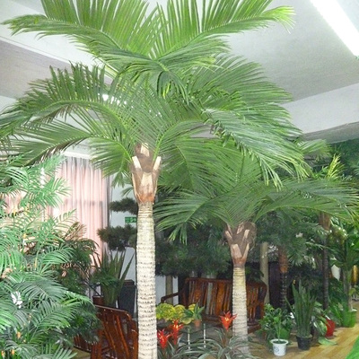 沈陽仿真椰子樹展廳
