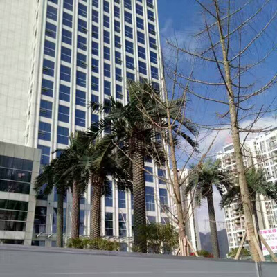 萬(wàn)基大廈仿真海藻樹(shù)