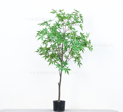 仿真綠楓樹
