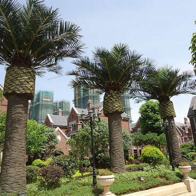 福建龍旺地產(chǎn)室外海藻樹