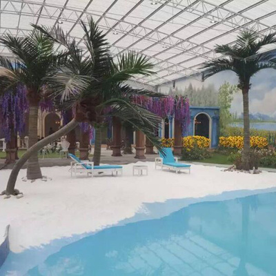 室內(nèi)游泳池彎桿椰子樹