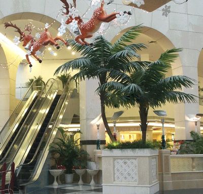 新品彎桿仿真椰子樹