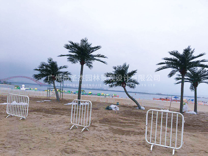 宁波万人沙滩圣杰仿真椰子树造景.jpg