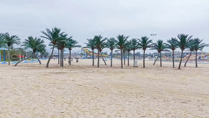 宁波梅山湾沙滩公园椰子树造景06.jpg