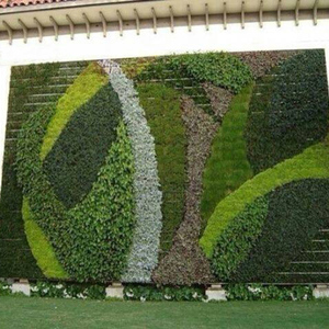 图案植物墙