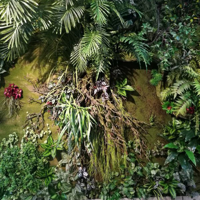 简约生态植物墙