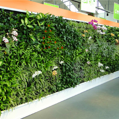 户外墙壁外镶植物墙