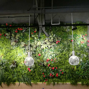室内生态植物墙