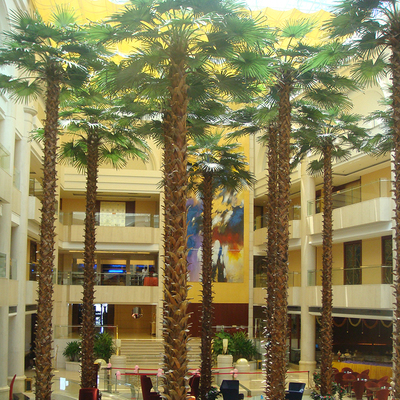 大樓內(nèi)仿真棕櫚樹(shù)