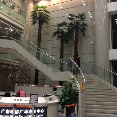 電信廣場(chǎng)仿真棕櫚樹(shù)