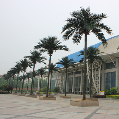學(xué)校仿真椰子樹(shù)安裝