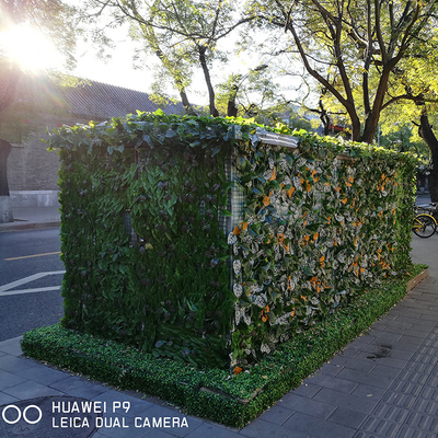 室外电箱植物墙