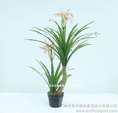 仿真蜘蛛蘭盆栽