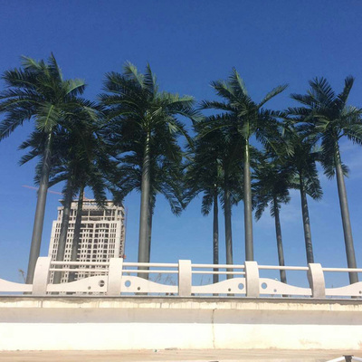 鹽城濱海月亮灣仿真椰子樹(shù)