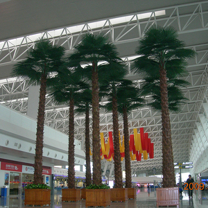 武漢天河機場仿真棕櫚樹