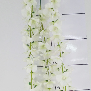 三叉豆花250cm