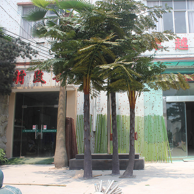 办公室门口仿真桫椤树