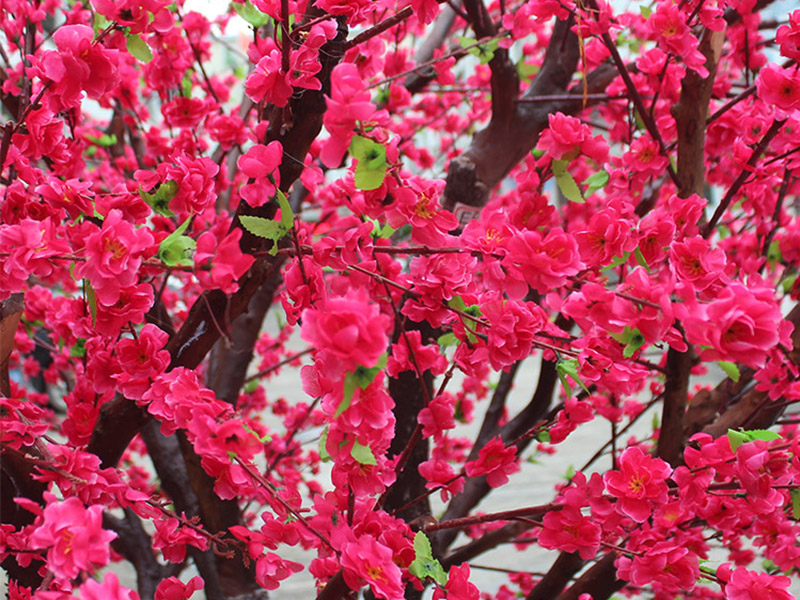 仿真桃花樹.jpg