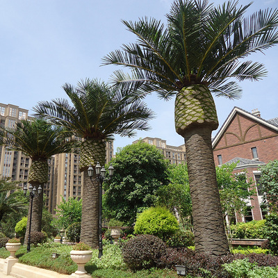 福建龍旺地產(chǎn)海藻樹(shù)