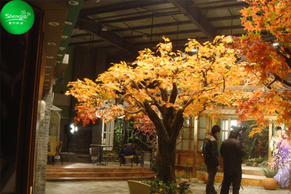 仿真楓樹室內(nèi)造景