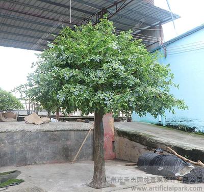 仿真福禄桐树图片