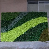 仿真绿植墙,植物墙效果图,绿植墙装饰