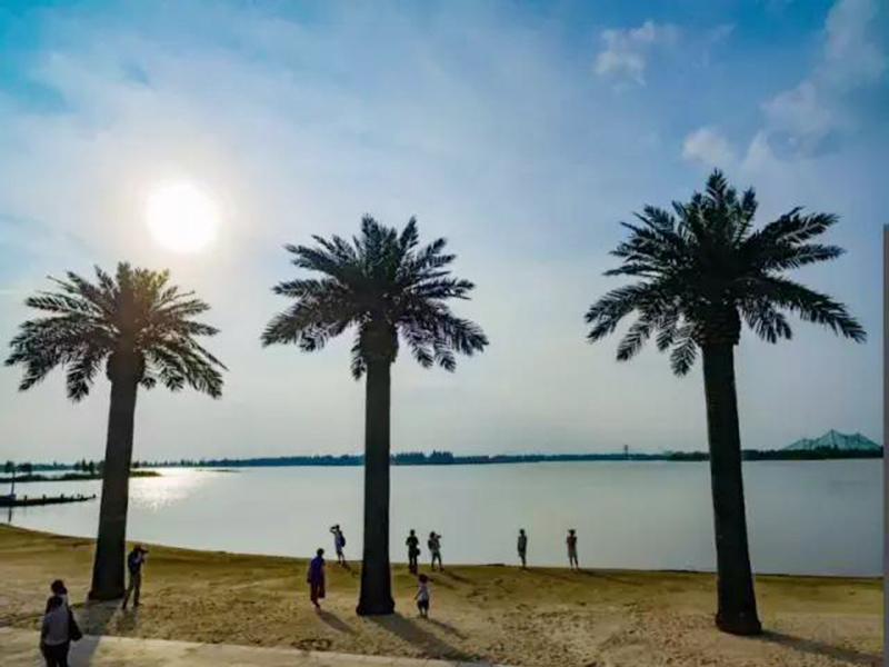 仿真棕櫚樹海邊造景