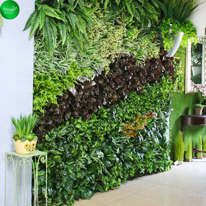 室内造景植物墙