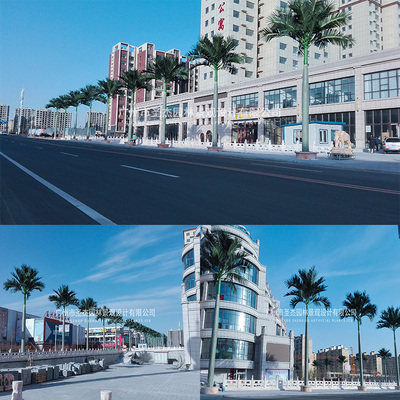 內(nèi)蒙古烏蘭察布市集寧區(qū)街道仿真大王椰