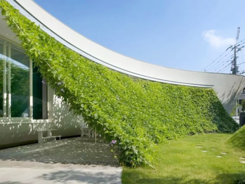 廣東植物墻-美居植物墻公司，專業植物墻設計安裝，室內外植物墻，墻面垂直綠化