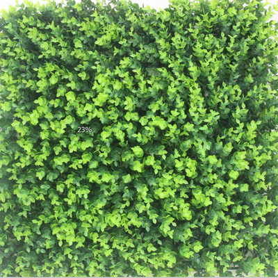 800尤加利休闲草皮