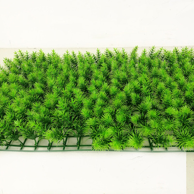 单头松针休闲草皮