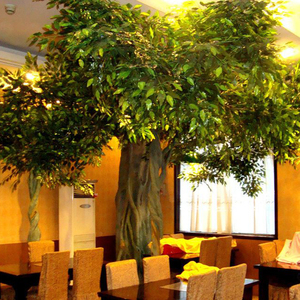 室内餐厅仿真榕树