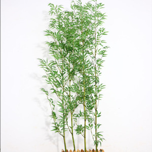 2米熏蒸金丝竹