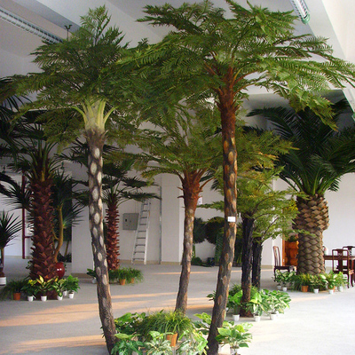 室内仿真桫椤树