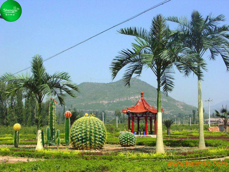 仿真椰子樹景點(diǎn)造景