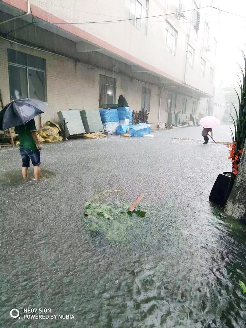 大雨無情，圣杰有情