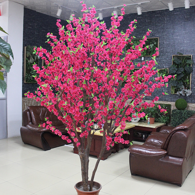 公司桃花樹(shù)展示02