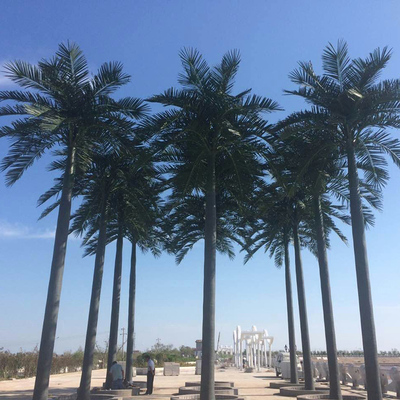 10米仿真大王椰子樹(shù)