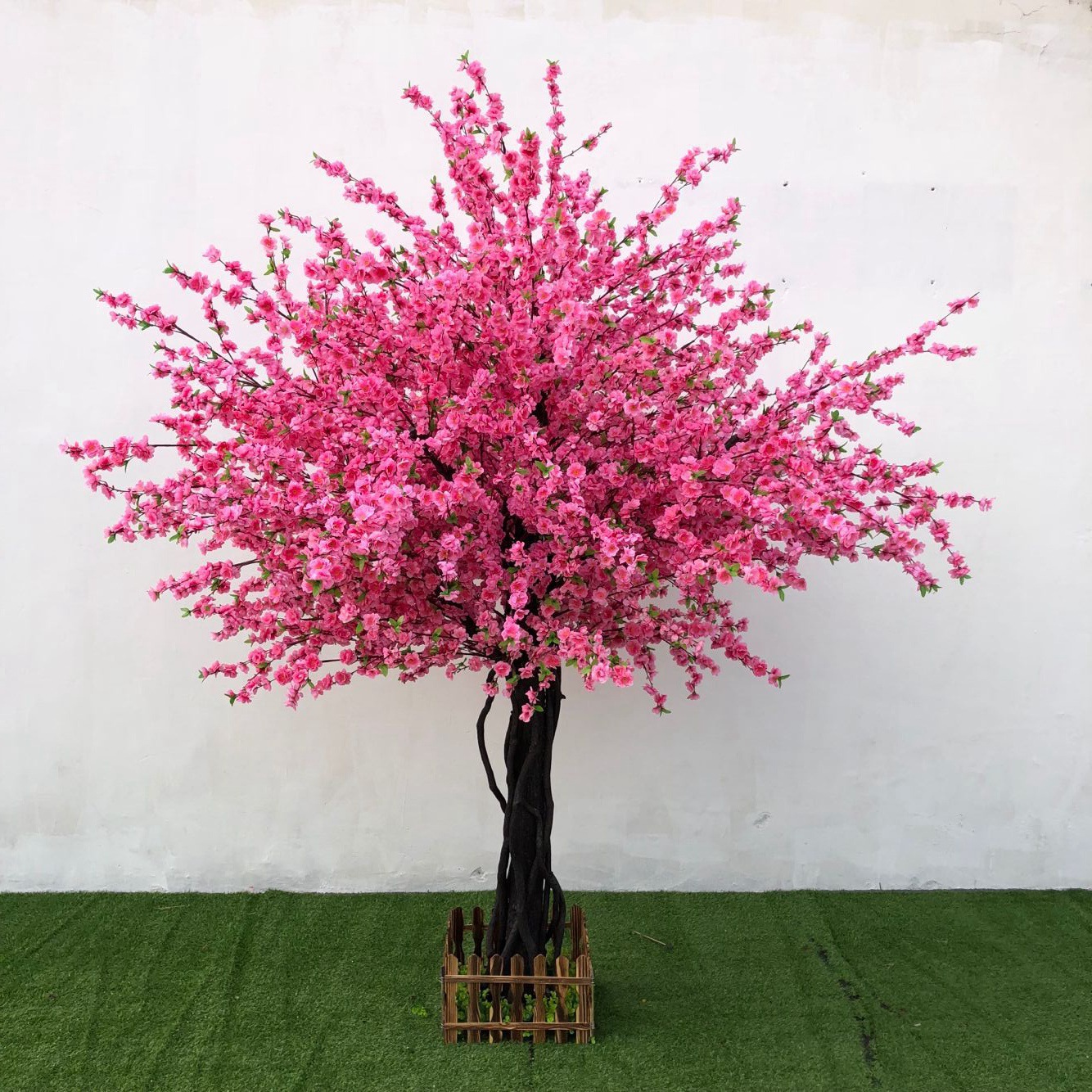 春天的樱花树高清图片-千叶网